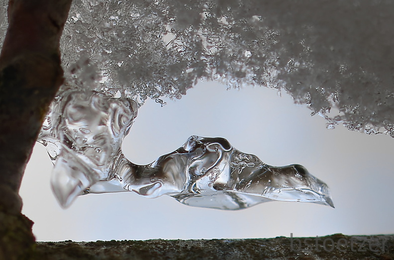 E26CBBDC-C648-4CA8-9555-45904CC2C8A3