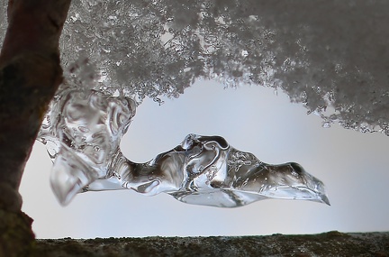 E26CBBDC-C648-4CA8-9555-45904CC2C8A3