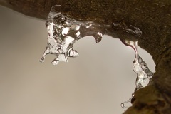 874C8B1D-E2D1-4FC0-B9CC-5620BEC2C194