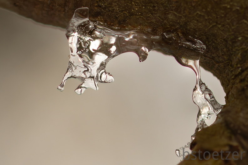 874C8B1D-E2D1-4FC0-B9CC-5620BEC2C194