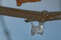 BB3E88F3-D206-42CB-8E93-6C6728AAC389