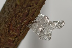 3D4BA196-82C9-43C0-B305-2C232EEB545C