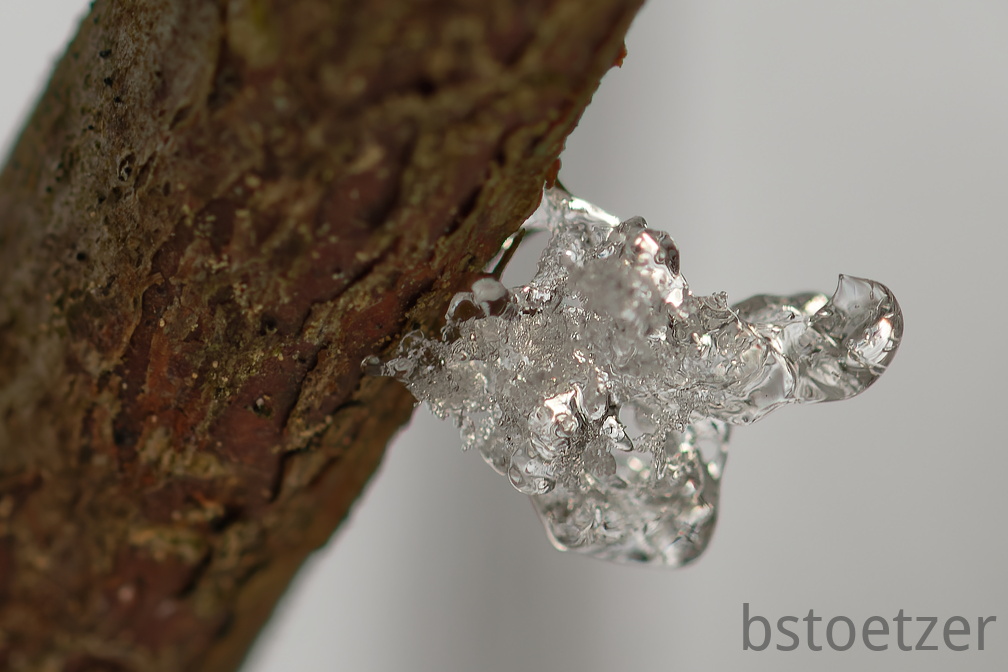 3D4BA196-82C9-43C0-B305-2C232EEB545C