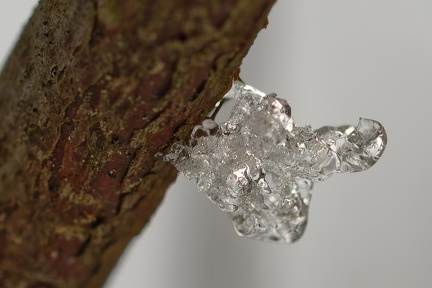 3D4BA196-82C9-43C0-B305-2C232EEB545C