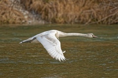 61C6CED4-9932-46F9-8975-45A2EA16110A