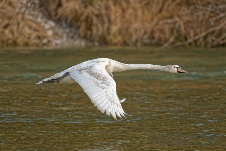 61C6CED4-9932-46F9-8975-45A2EA16110A