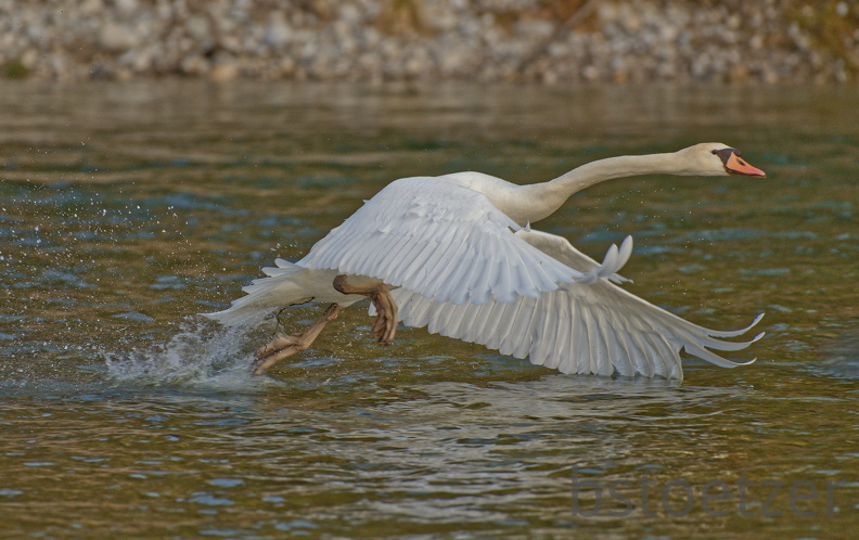 EE878AAD-4581-4B4A-B6AF-77D5F6FF3FA6