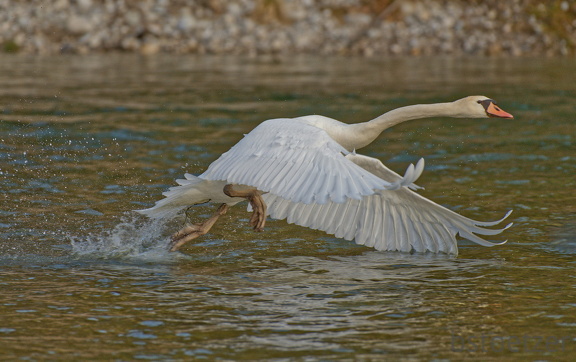 EE878AAD-4581-4B4A-B6AF-77D5F6FF3FA6