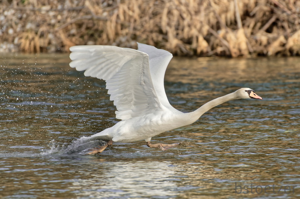 CEB1DBC7-6C7D-4D82-8FCB-6D31A732C0BC