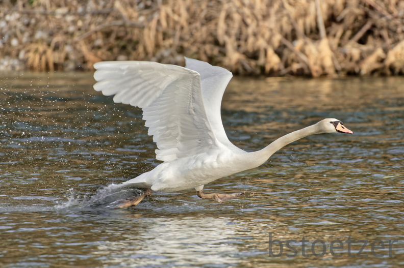 CEB1DBC7-6C7D-4D82-8FCB-6D31A732C0BC