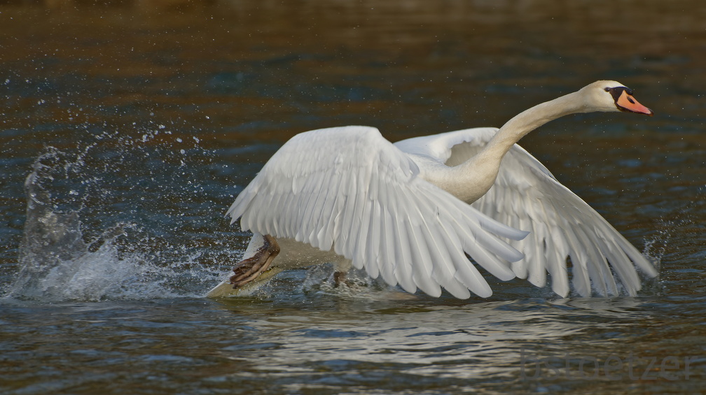 20AC5388-09A8-4551-BCD9-ED14F23995BD