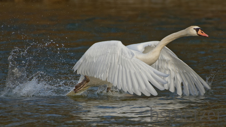 20AC5388-09A8-4551-BCD9-ED14F23995BD