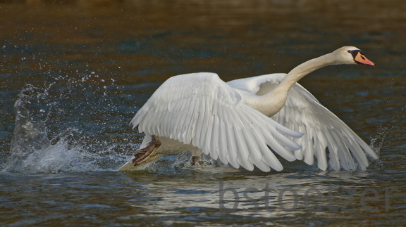 20AC5388-09A8-4551-BCD9-ED14F23995BD