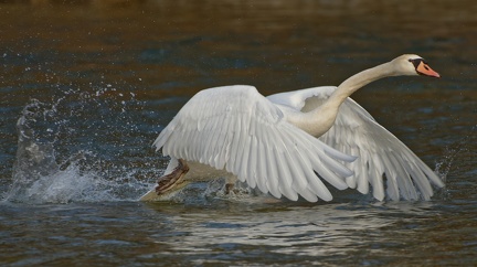 20AC5388-09A8-4551-BCD9-ED14F23995BD