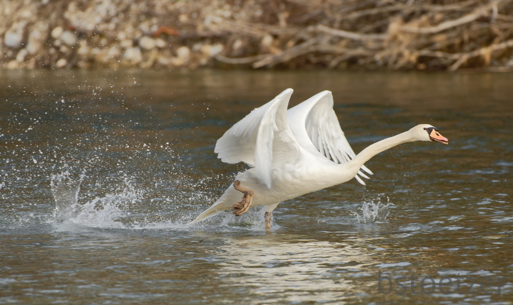 3BC36AEE-213F-475C-B339-74FCFA457E10