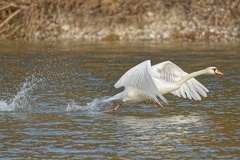 6E5EE654-51D5-4B2C-B898-4BE81028ECF4