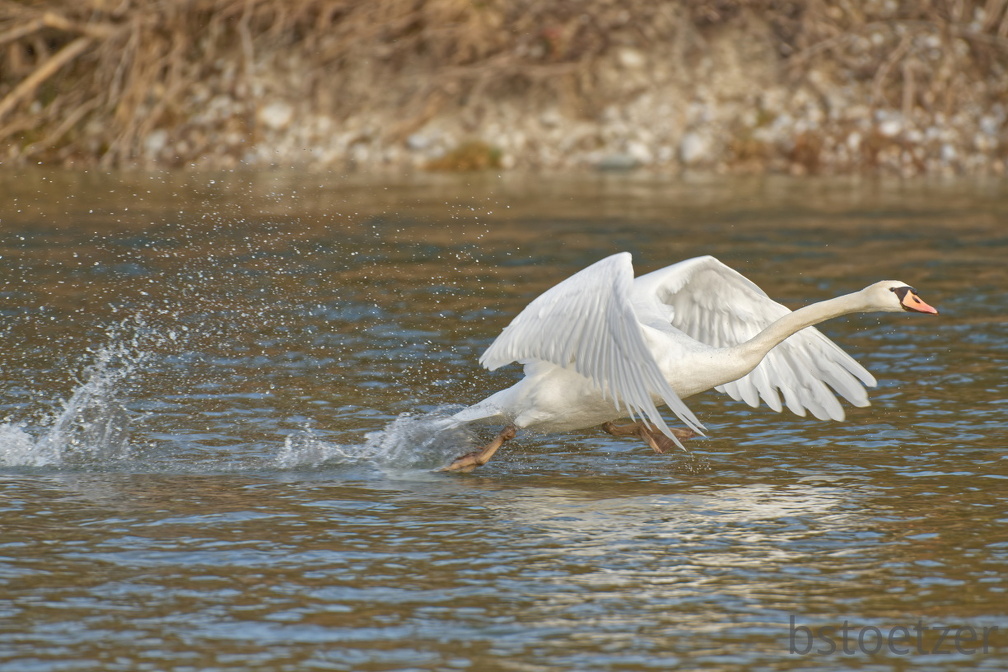 6E5EE654-51D5-4B2C-B898-4BE81028ECF4