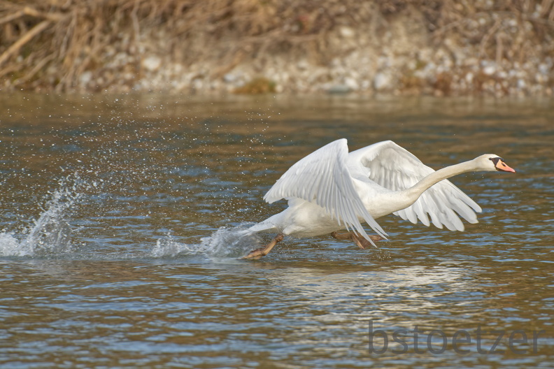 6E5EE654-51D5-4B2C-B898-4BE81028ECF4