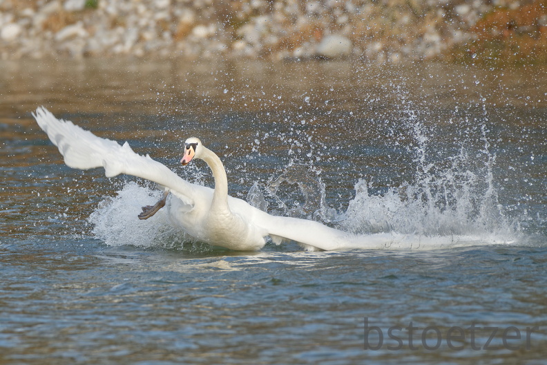 C130419E-EC45-4867-BA84-7A8EBDE154B1