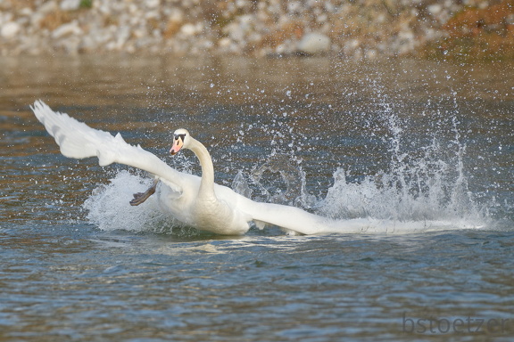 C130419E-EC45-4867-BA84-7A8EBDE154B1