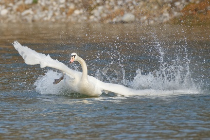 C130419E-EC45-4867-BA84-7A8EBDE154B1