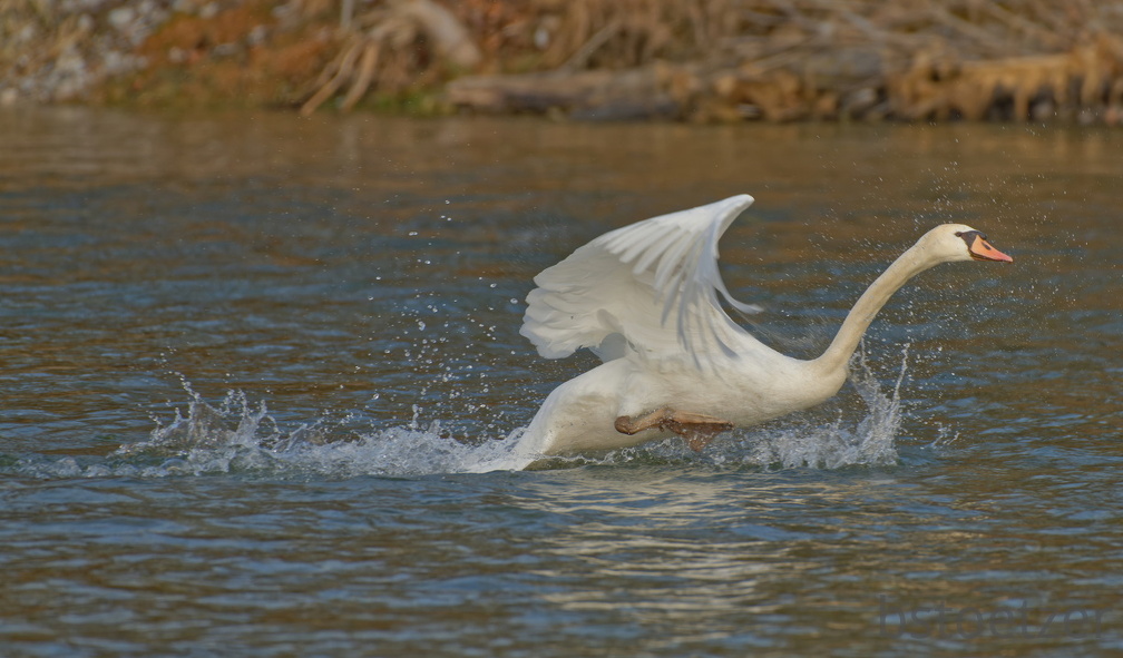 81C640E2-FC49-4A53-9E0A-9C96FB549E6C