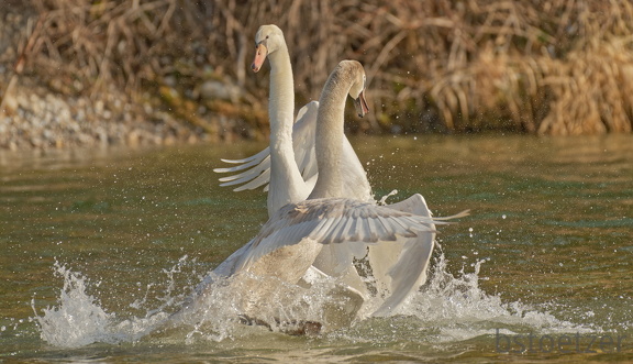 DF2EFCF8-9386-4B56-B424-E2EE68DC7FFA