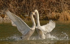 2A36CABB-FA48-4C6B-8AA2-48C50A3589FB