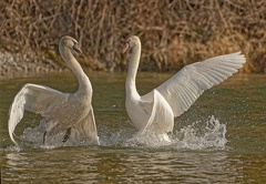 7DCA2925-5EB0-4D71-B623-19F0062CDE2B