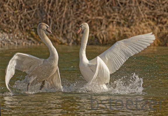 7DCA2925-5EB0-4D71-B623-19F0062CDE2B