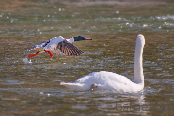 5DC4DCD9-9060-4997-A94A-99A43CA0E8F7