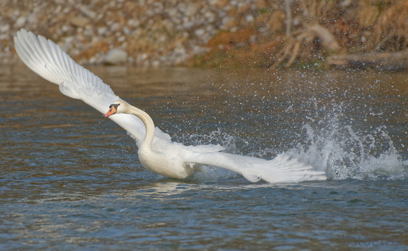 38EC9FC6-237E-4405-B896-36FFC7543FE6