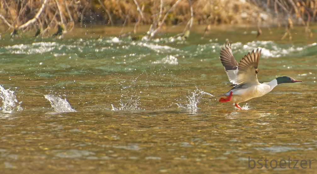 3D408A07-8064-4337-B08B-7A0E0891CC01