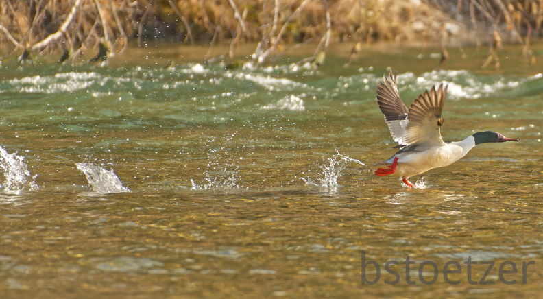 3D408A07-8064-4337-B08B-7A0E0891CC01