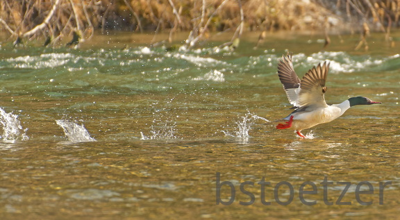 3D408A07-8064-4337-B08B-7A0E0891CC01