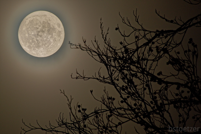 851 0845 Mond mit Ast Overlay Kopie DxO Web Schnitt-1 1380