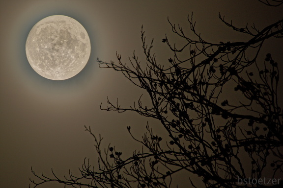 851 0845 Mond mit Ast Overlay Kopie DxO Web Schnitt-1 1380