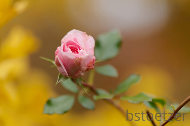 850 9404 DxO com 501 515 1487