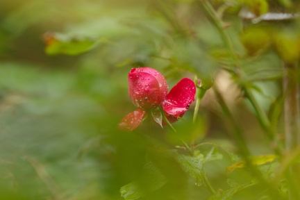 851 0126 DxO Web Schnitt 985 1501