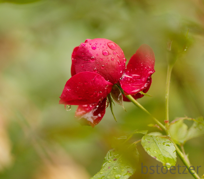 851 0173 DxO Web Schnitt 986 1502