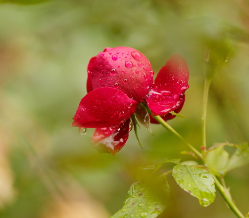 851 0173 DxO Web Schnitt 986 1502