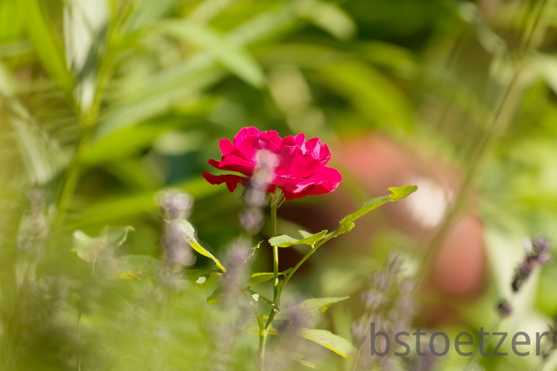 851 8680 DxO Web Schnitt 871 1491