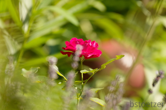 851 8680 DxO Web Schnitt 871 1491