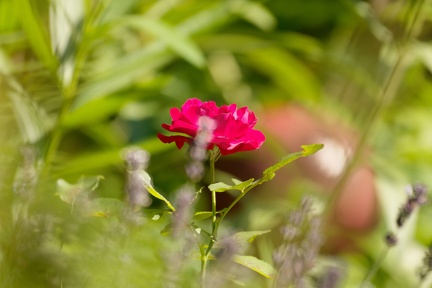 851 8680 DxO Web Schnitt 871 1491