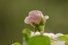 851 9449 DxO Web Schnitt 876 1492