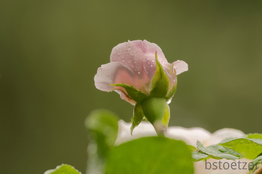 851 9449 DxO Web Schnitt 876 1492