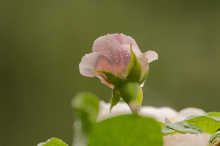 851 9449 DxO Web Schnitt 876 1492