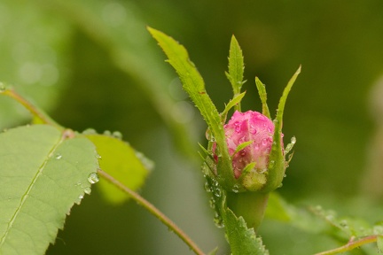 851 9457 DxO Web Schnitt 877 1493