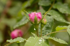 851 9461 DxO Web Schnitt 878 1494