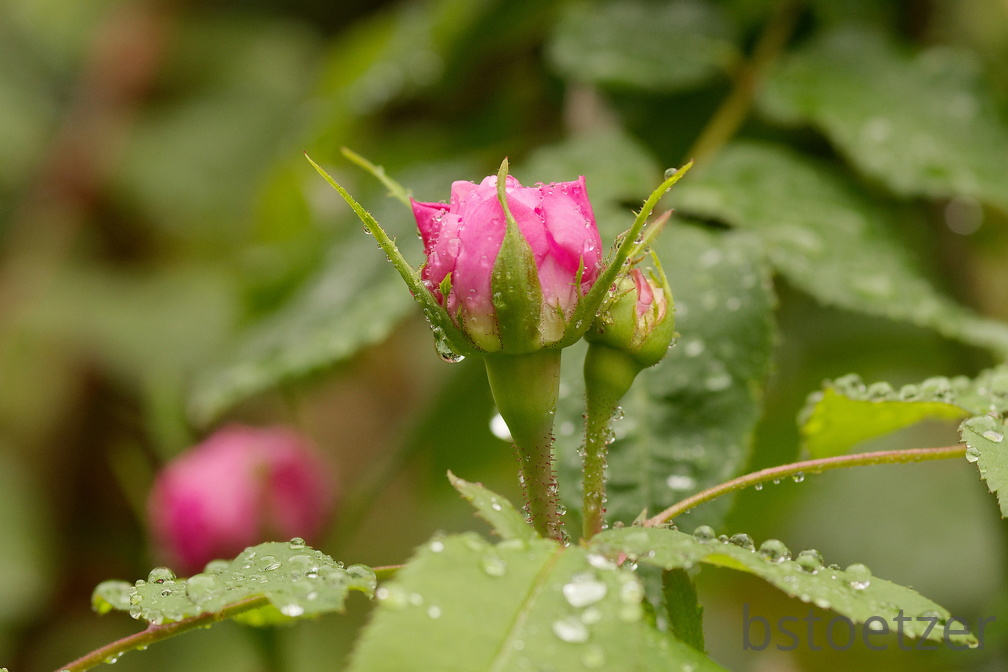 851 9461 DxO Web Schnitt 878 1494